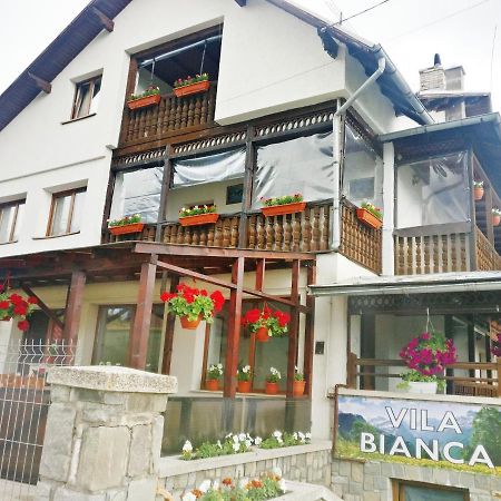 Bianca House Hotel Buşteni Buitenkant foto