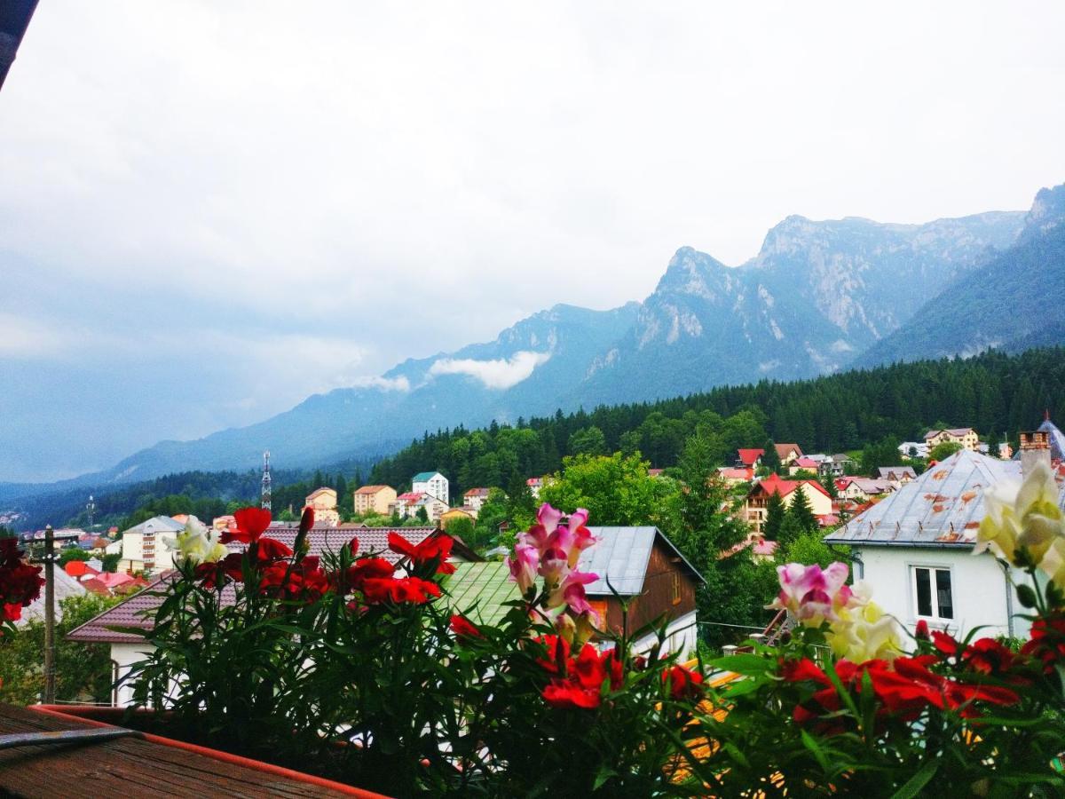 Bianca House Hotel Buşteni Buitenkant foto