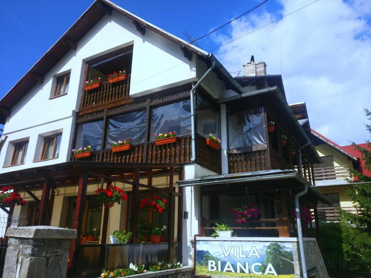 Bianca House Hotel Buşteni Buitenkant foto