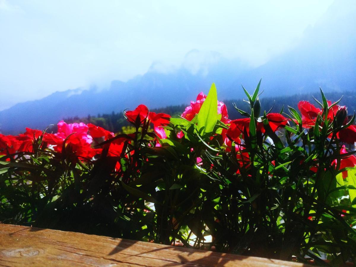 Bianca House Hotel Buşteni Buitenkant foto